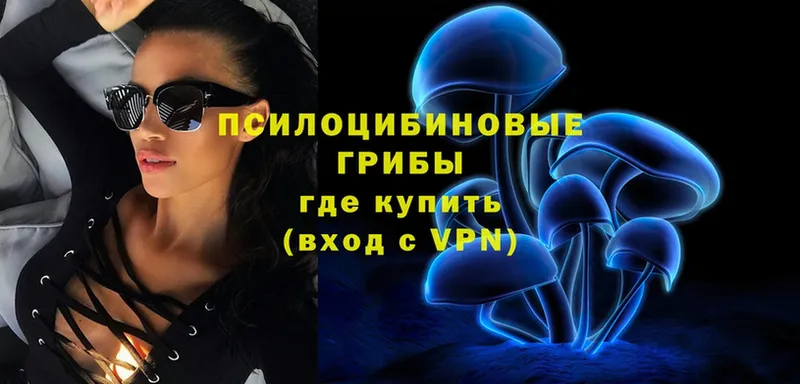 Галлюциногенные грибы ЛСД  darknet наркотические препараты  Орлов  наркошоп 